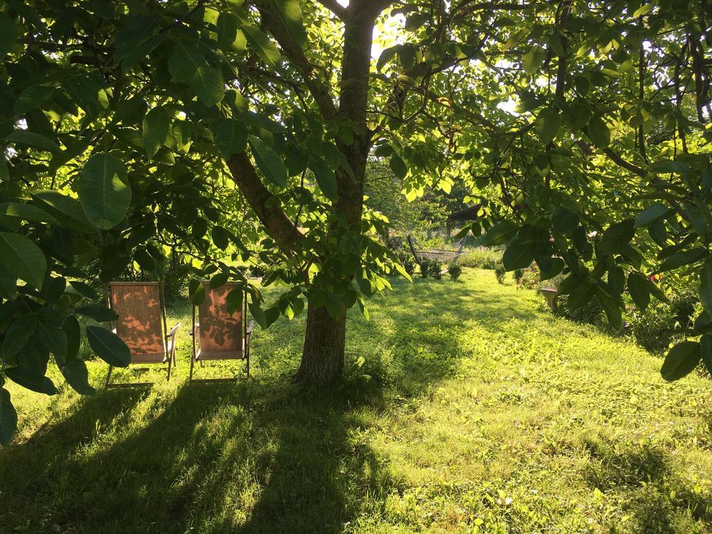 Capannacce Organic And Horse Farm Villa Rapolano Terme Eksteriør bilde