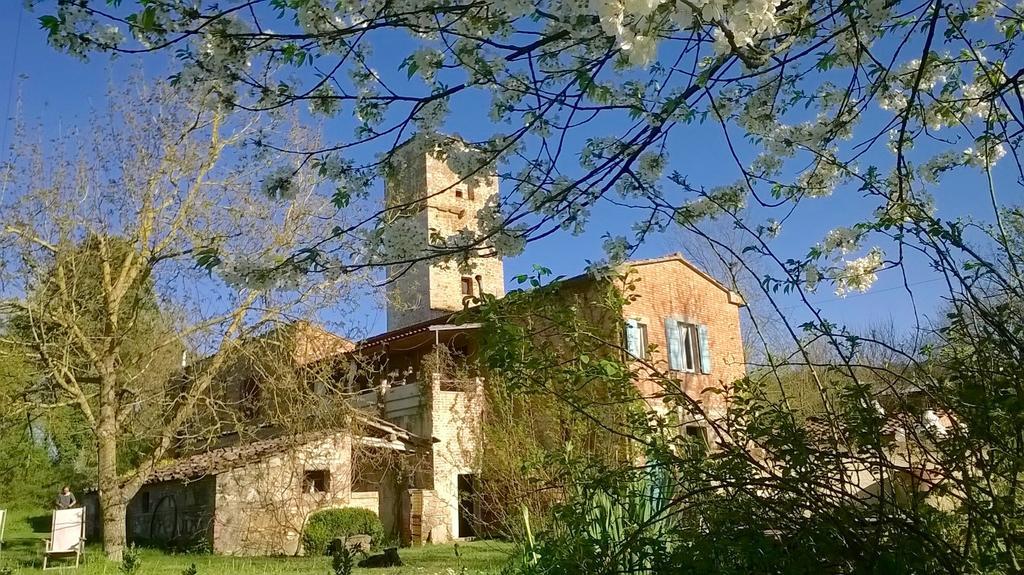 Capannacce Organic And Horse Farm Villa Rapolano Terme Eksteriør bilde