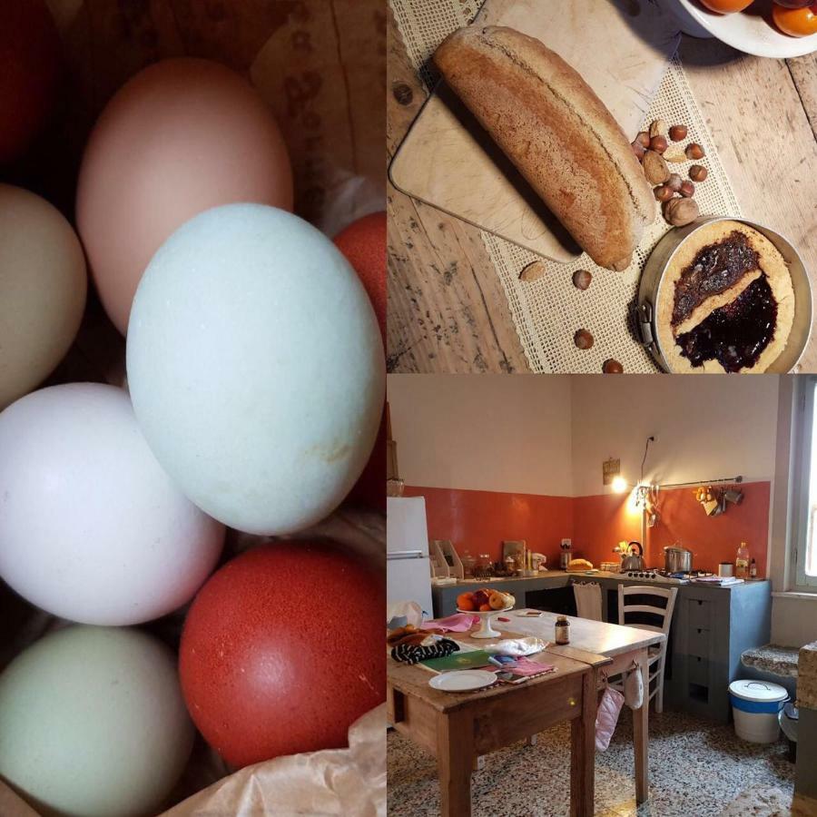 Capannacce Organic And Horse Farm Villa Rapolano Terme Eksteriør bilde
